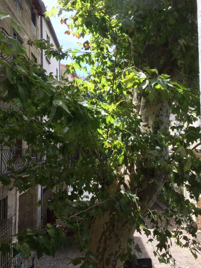 La Plaisance Du Palais Garage Sur Place Sous Condition Avignon Kültér fotó